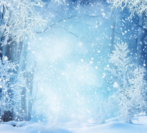 寒霜绘卷，冰雪世界的诗意描绘,寒霜绘卷，冰雪世界的诗意描绘,画卷,诗篇,第1张